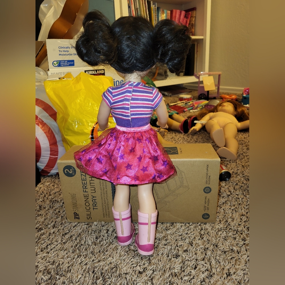 American Girl Wellie Wisher Emerson - Picture 7 of 9